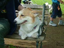 �ڂ��A������B�ڂ��̓i�f�i�f��ԍD���I�I