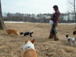 ��p������[